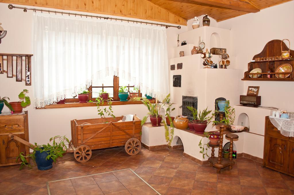 Casa Lidia 호텔 Lepşa 외부 사진